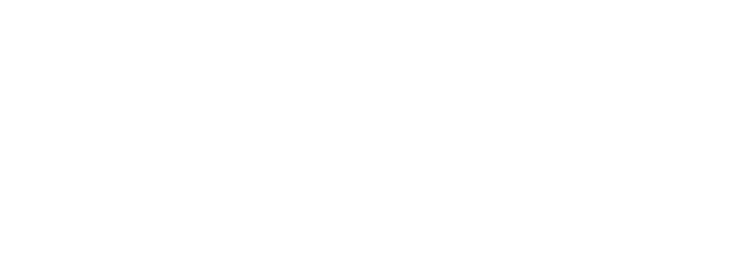 Leo Africa Institute